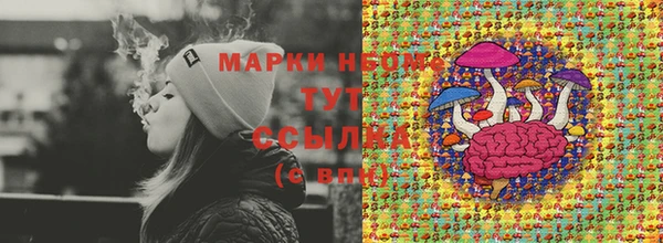 мдпв Киреевск