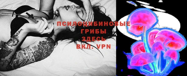 мдпв Киреевск