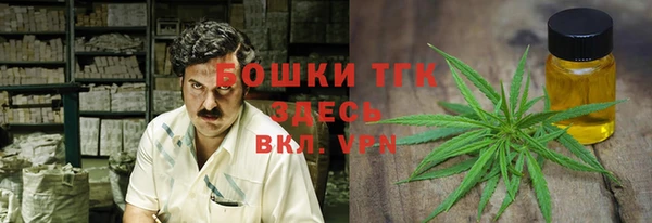 мдпв Киреевск