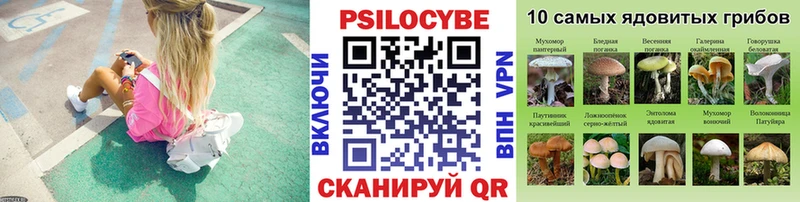 Купить где  Салават  Галлюциногенные грибы Psilocybine cubensis 